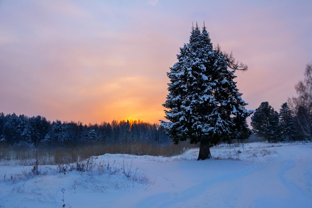 Photograph by Сергей