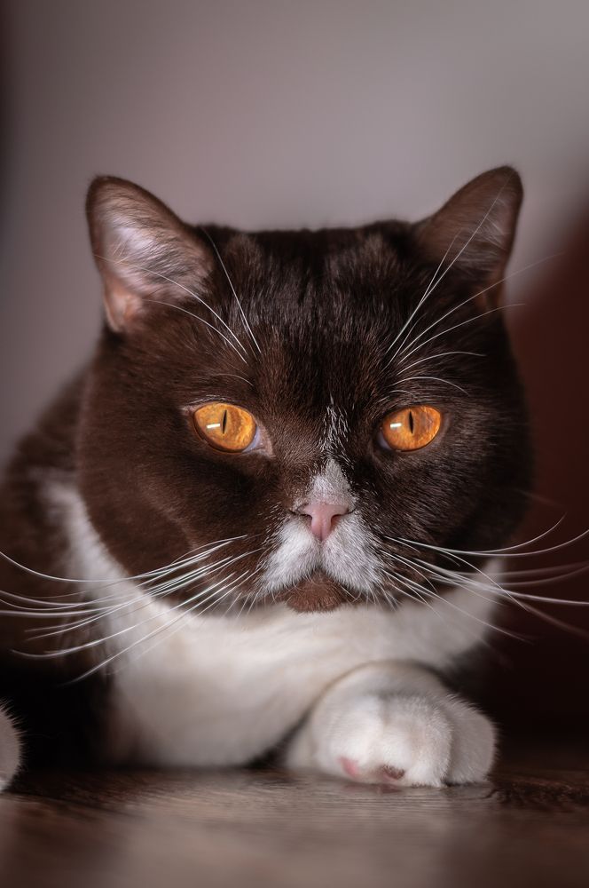 Photograph by Ксения Хачатурова