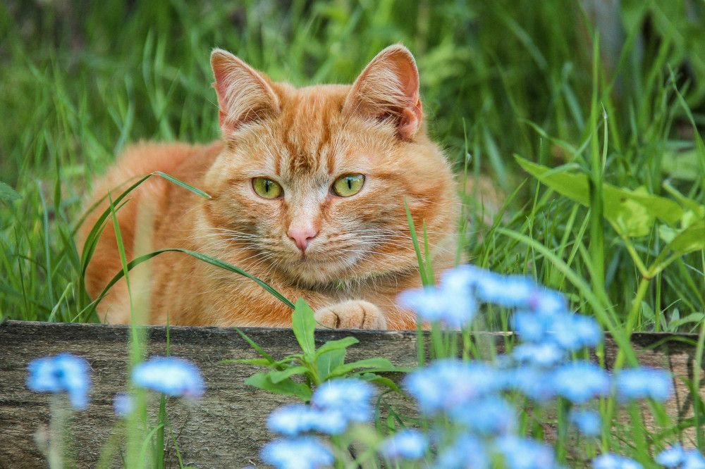 Photograph by Наталья Сапрыкина