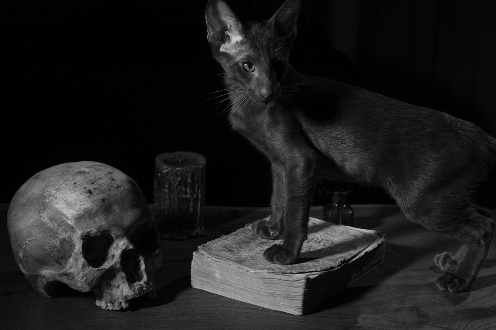 Photograph by Виталий Бодрягин