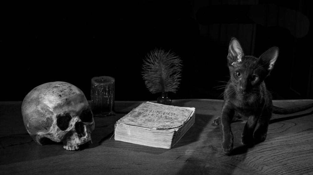 Photograph by Виталий Бодрягин