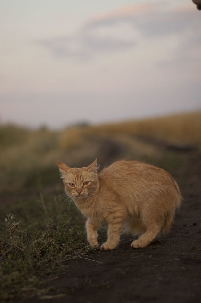 Photograph by Оксана Гриднева