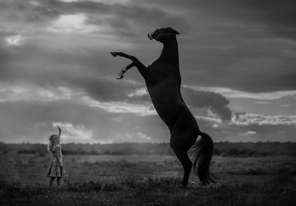 Фотография автора Julia Shepeleva