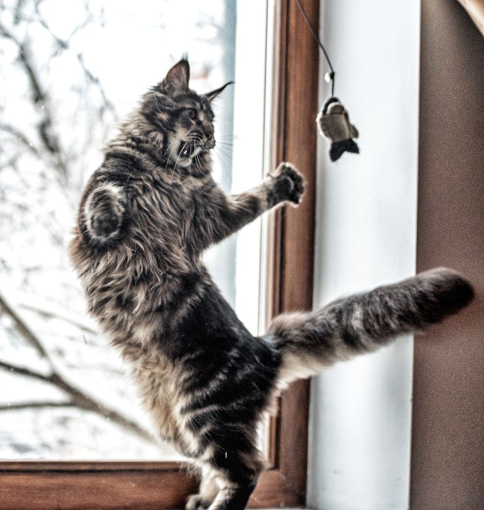 Photograph by Милана Бабченко