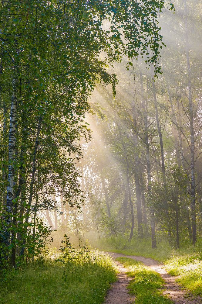 Photograph by Юрий Спасенников