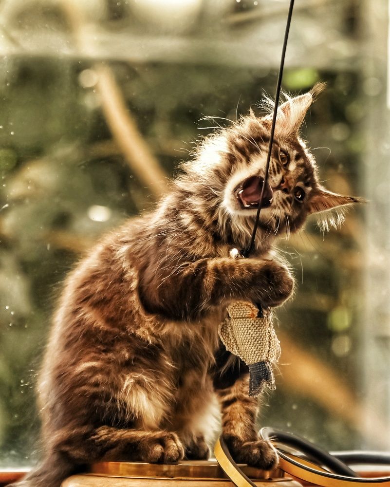 Photograph by Милана Бабченко