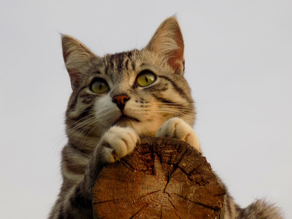 Photograph by Мария Гостева