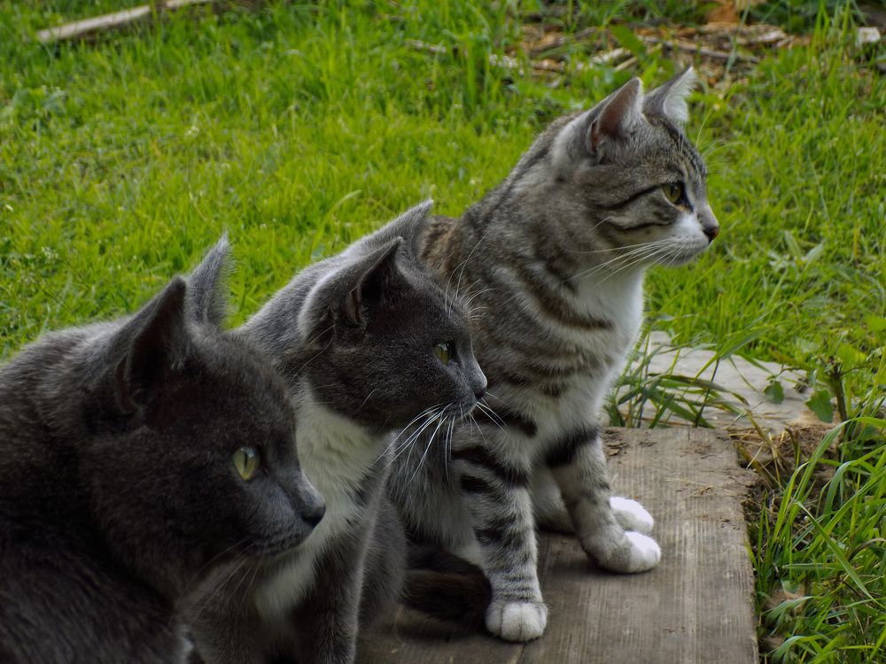 Photograph by Мария Гостева