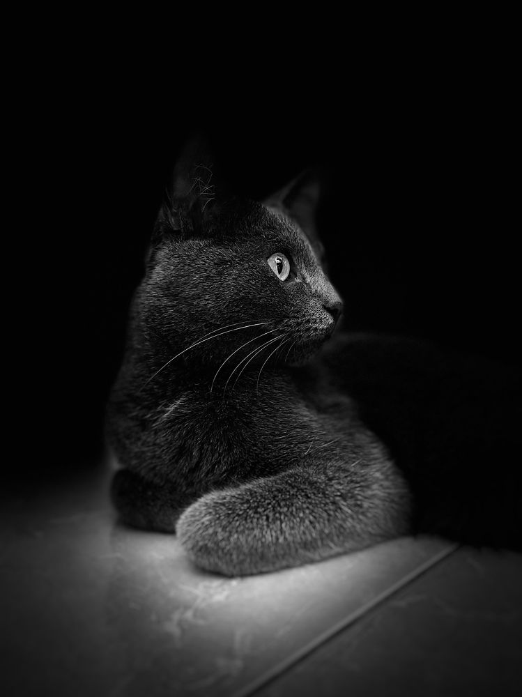 Фотография автора Ирина Мосько