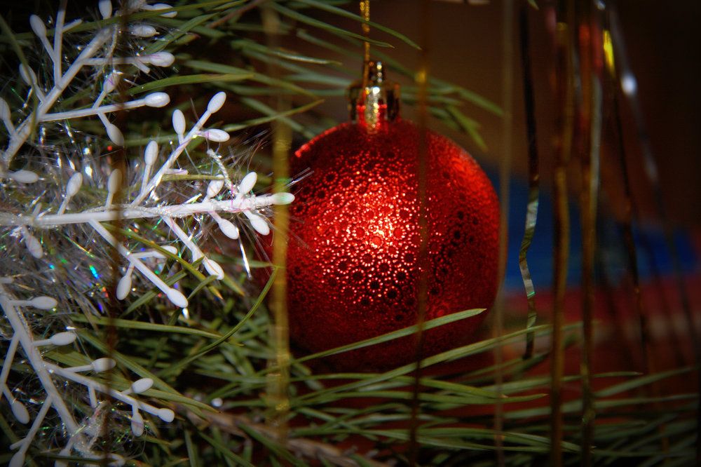 Photograph by Михаил Семёнов