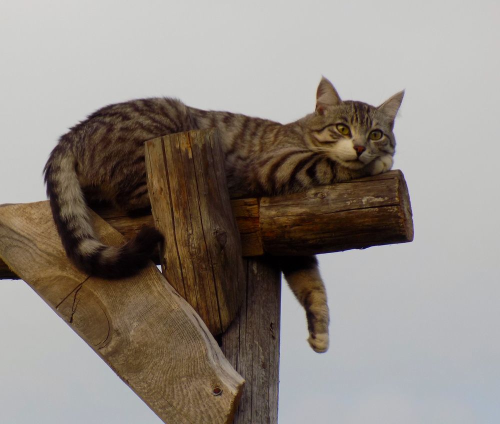 Photograph by Мария Гостева