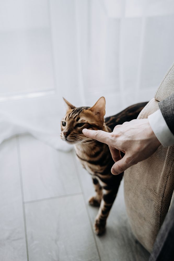 Photograph by Катерина Мак