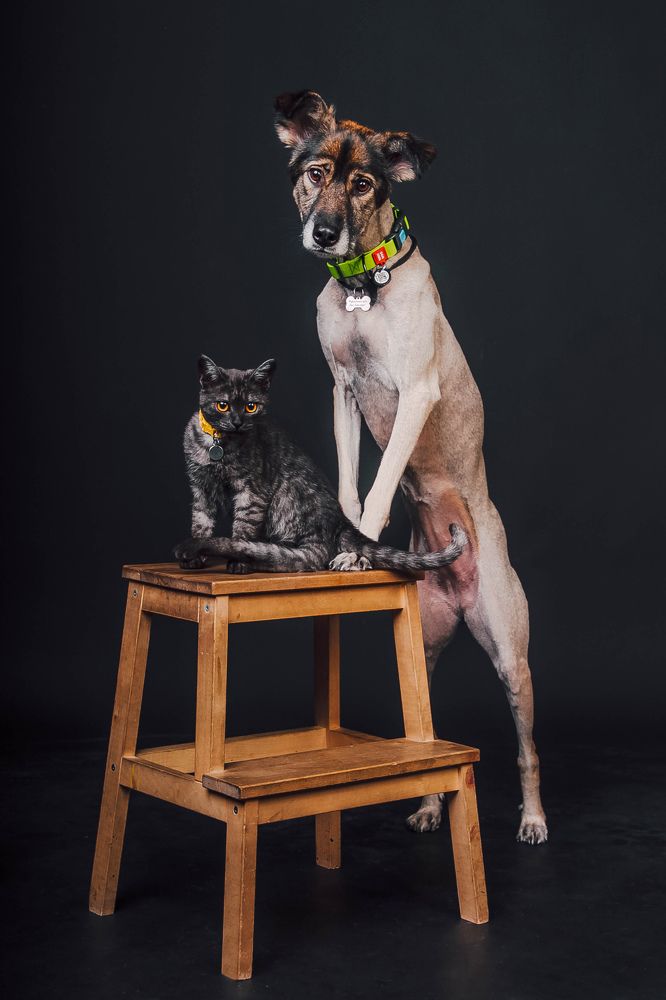 Photograph by Светлана