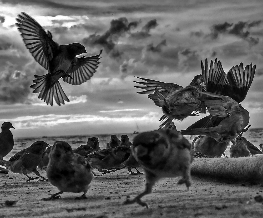 Фотография автора Максим Светличный