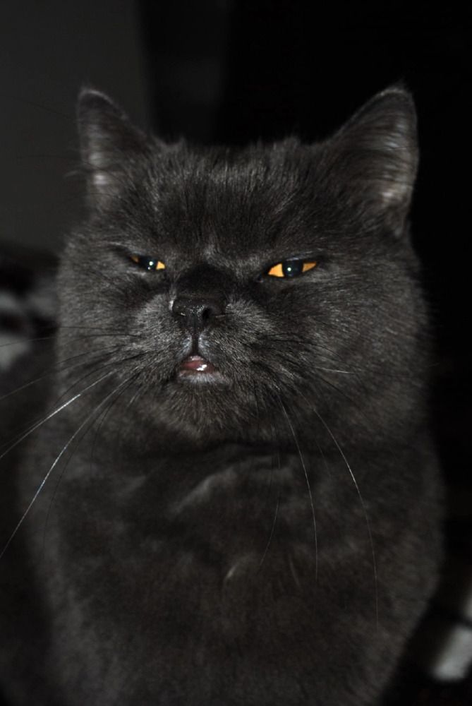 Photograph by Мария