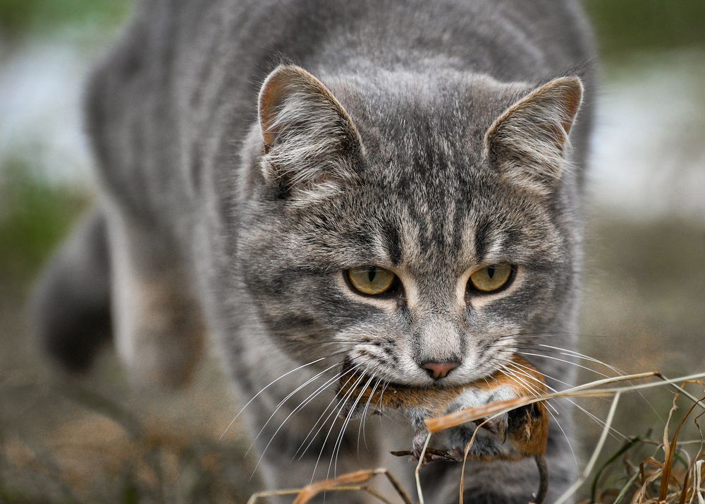 Photograph by Артем Кириллов