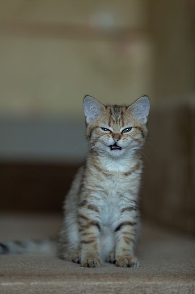 Photograph by Наталья Угрюмова