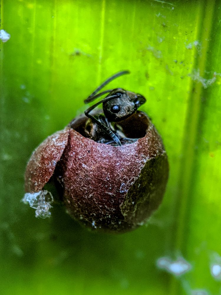 Photograph by sandhya kudli