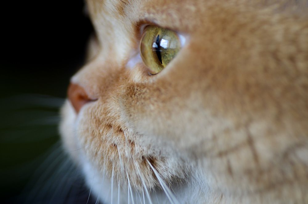 Photograph by Ирина Хламова