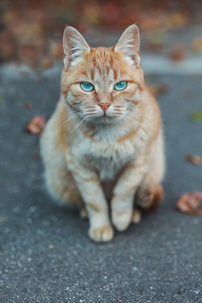 Photograph by Юлия Игнатьева