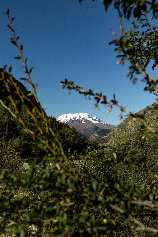 Photograph by Artem Gerasimenko