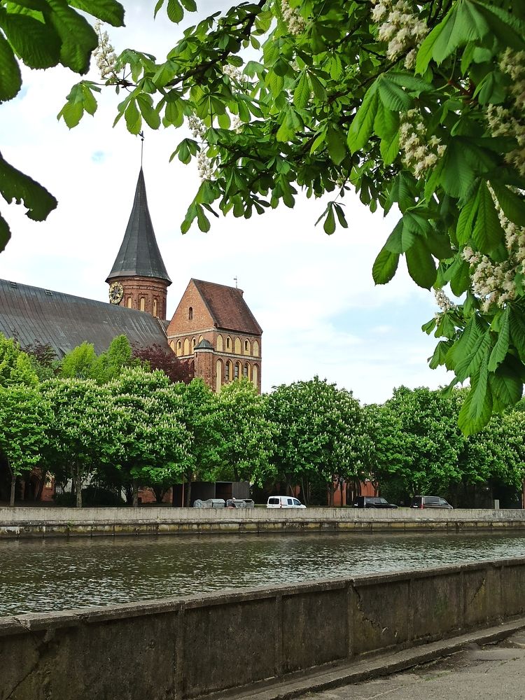 Photograph by Вера Родионова