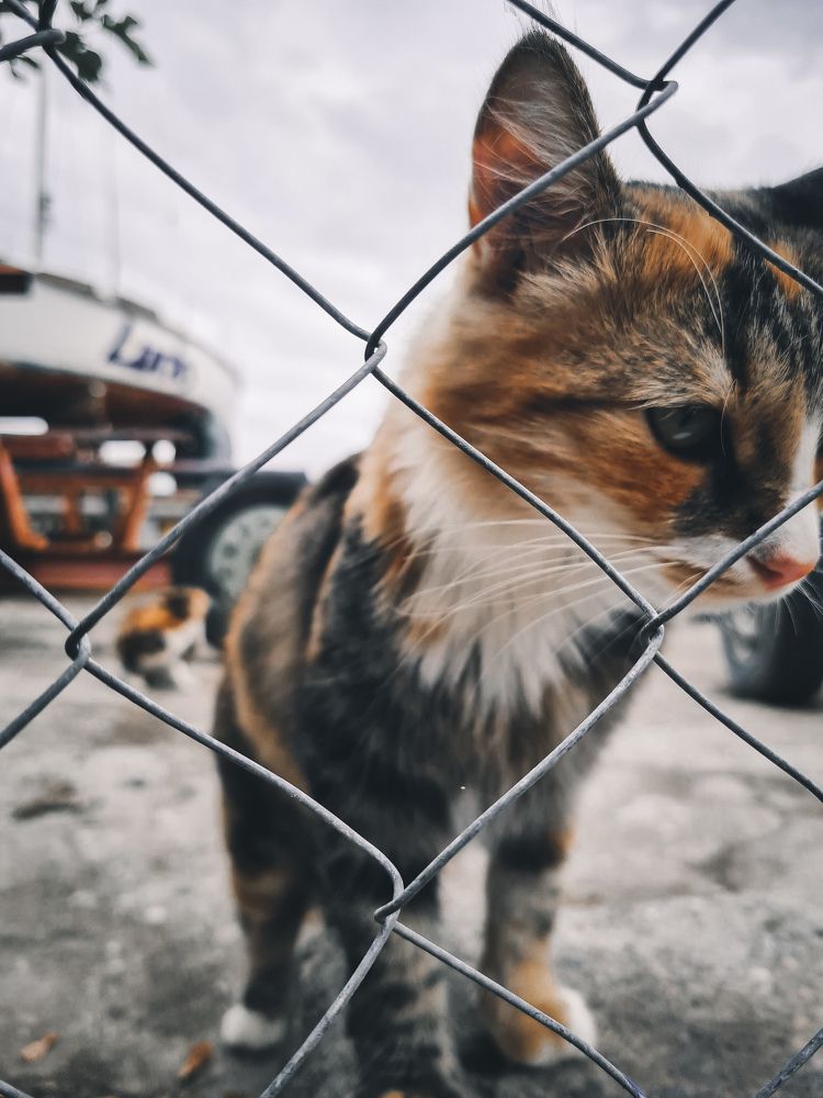 Photograph by Елена