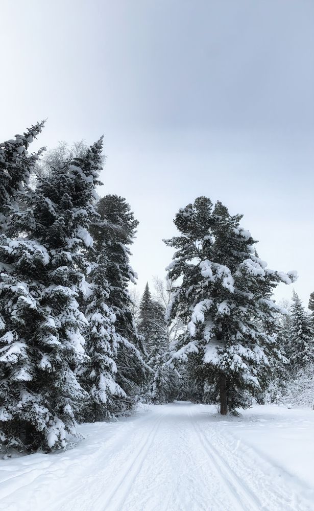 Photograph by Савицкий Анатолий