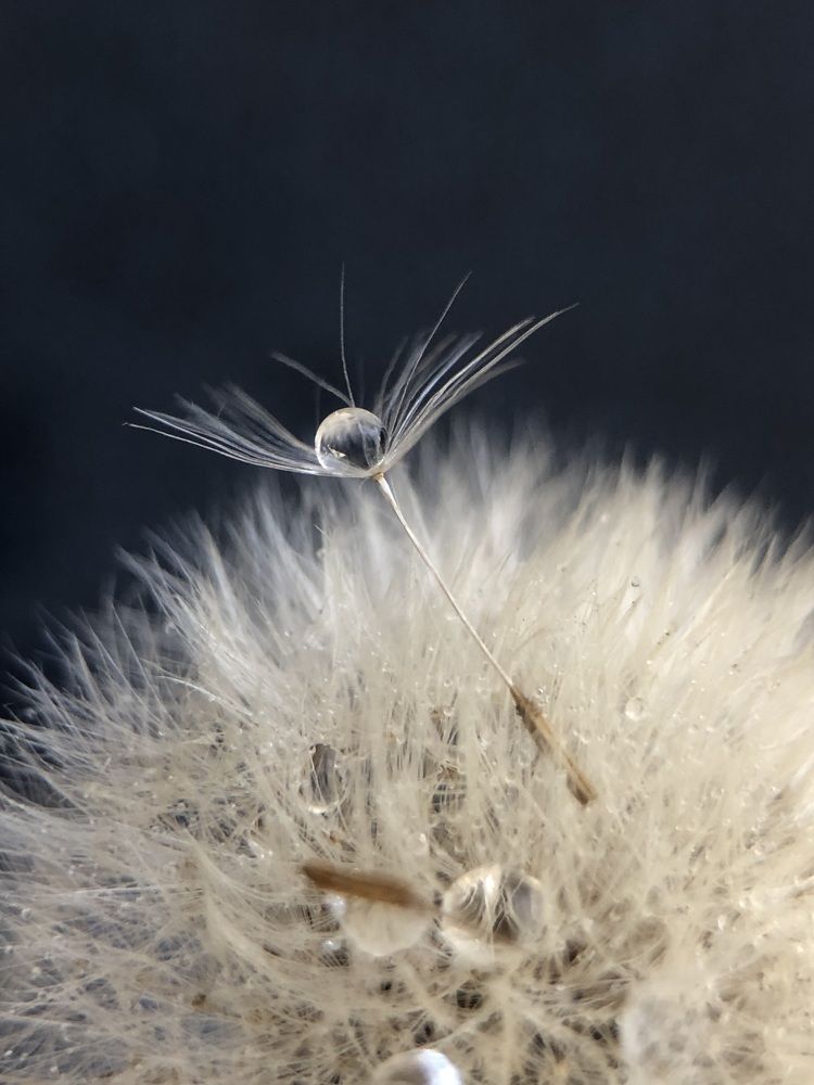 Photograph by Светлана Дмитриева