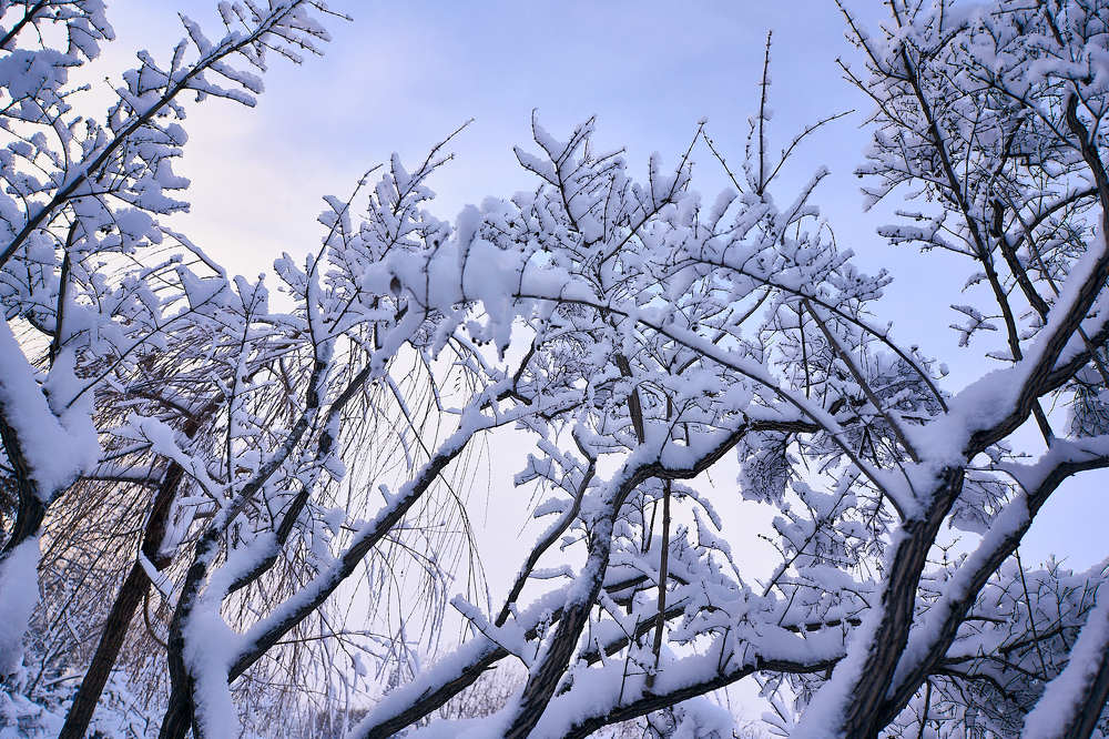 Photograph by Станислав Баев