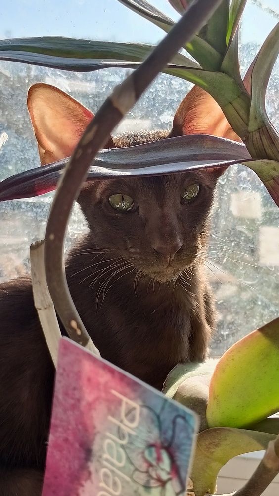 Photograph by Дарья Кирина