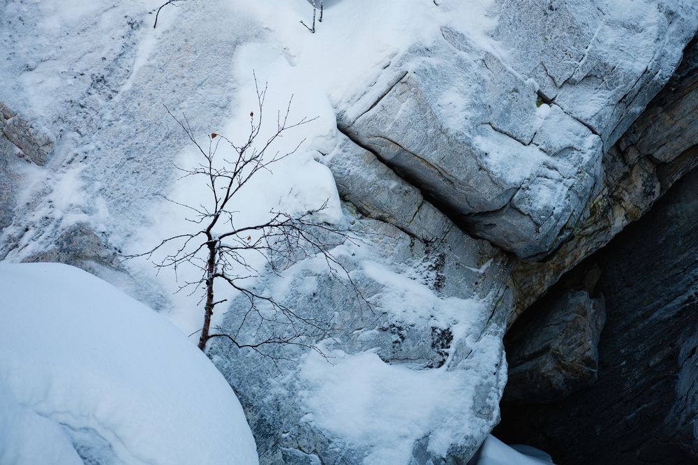 Photograph by Николай Кокшанов