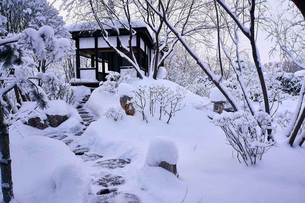 Тропа в чайный домик