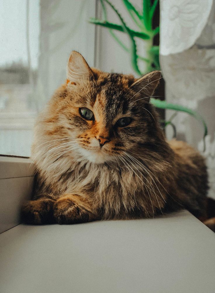 Photograph by Андрей Астафьев