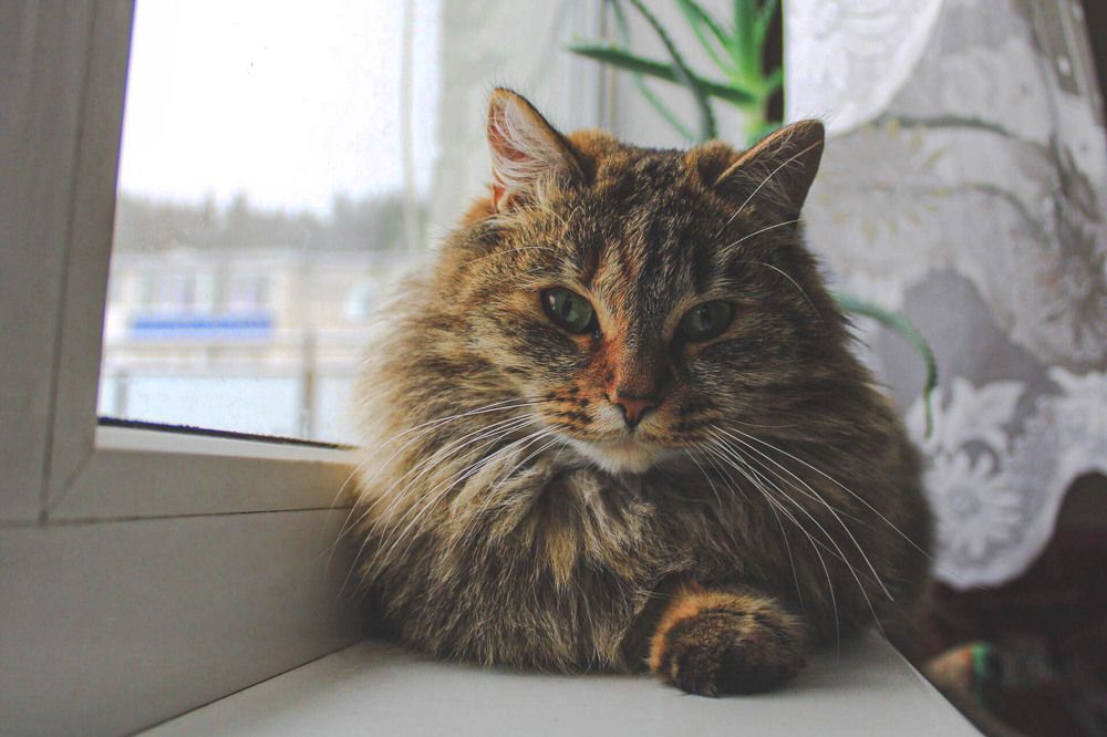 Photograph by Андрей Астафьев