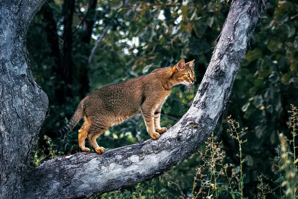 Photograph by Рома Янко