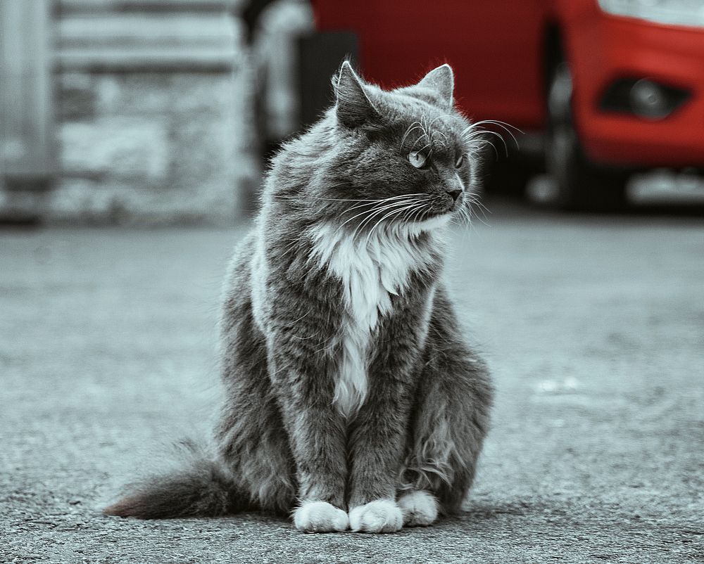 Photograph by Рома Янко