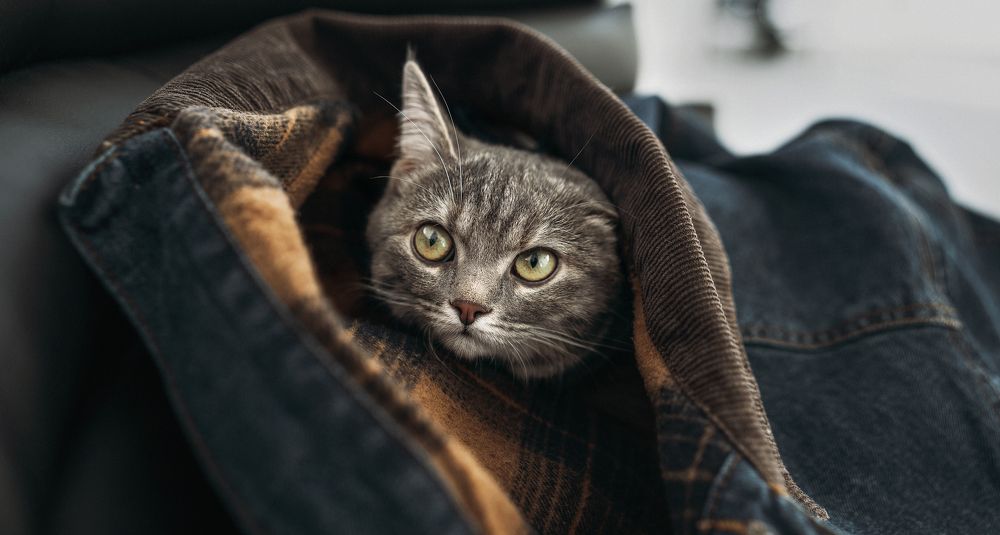 Photograph by Рома Янко