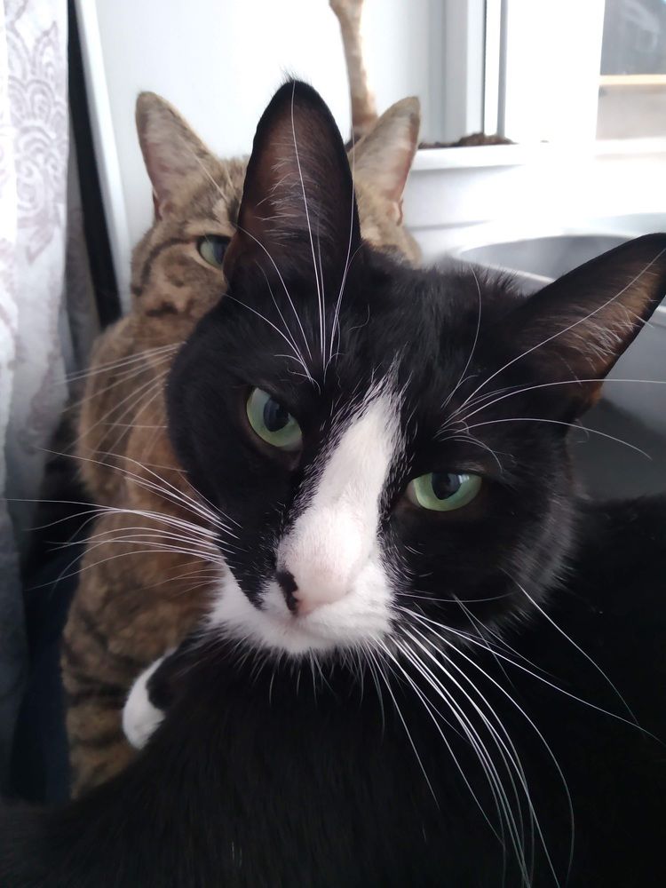 Photograph by Ольга Антохина