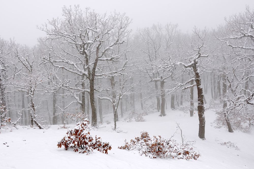 Photograph by Андрей Прищепин