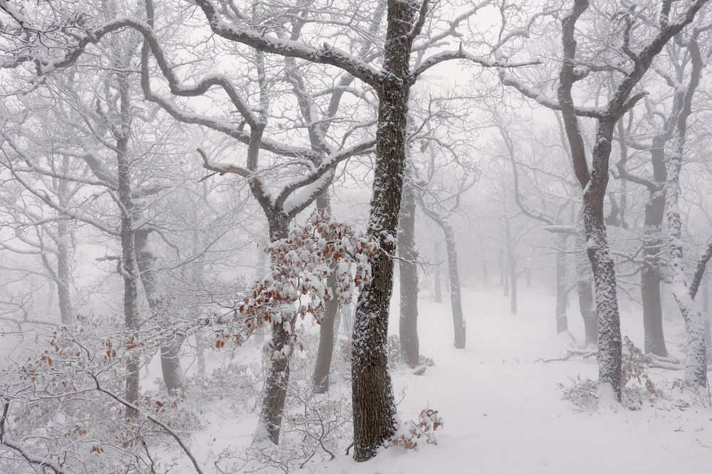 Photograph by Андрей Прищепин