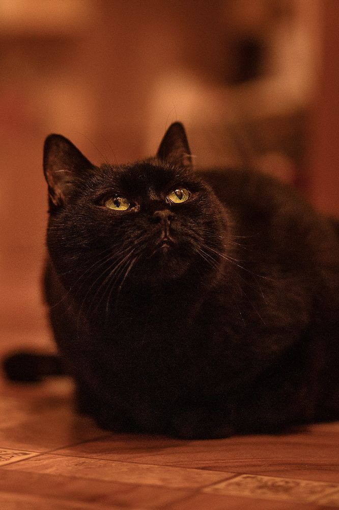 Photograph by Natalia Antipas