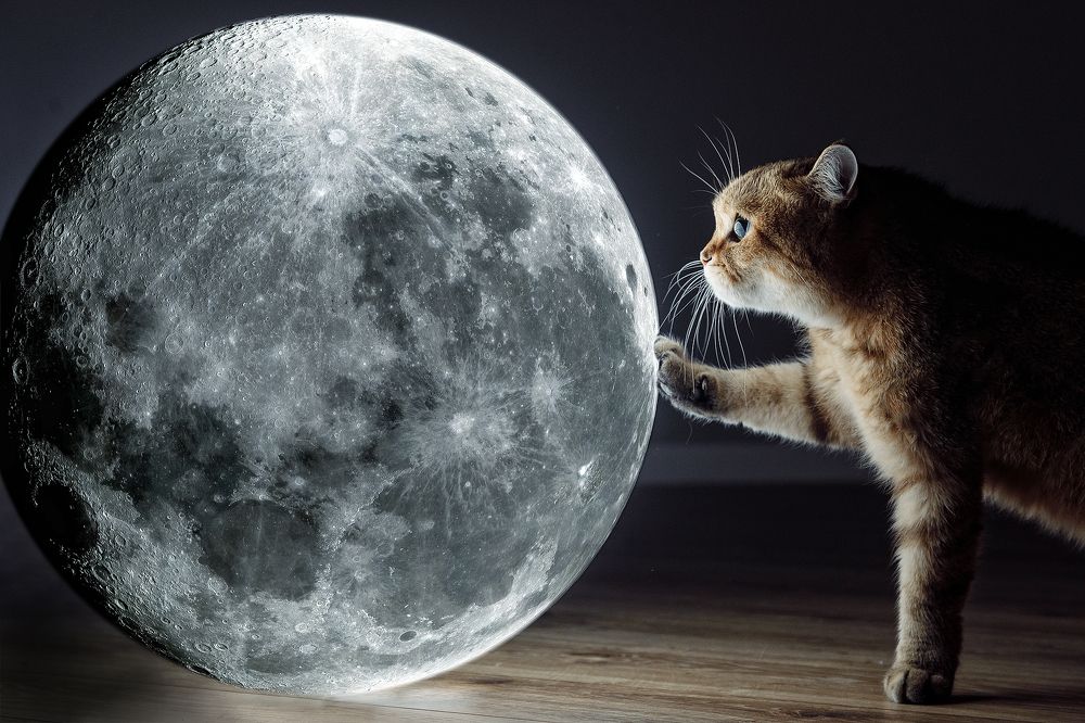 Photograph by Данилкин Геннадий