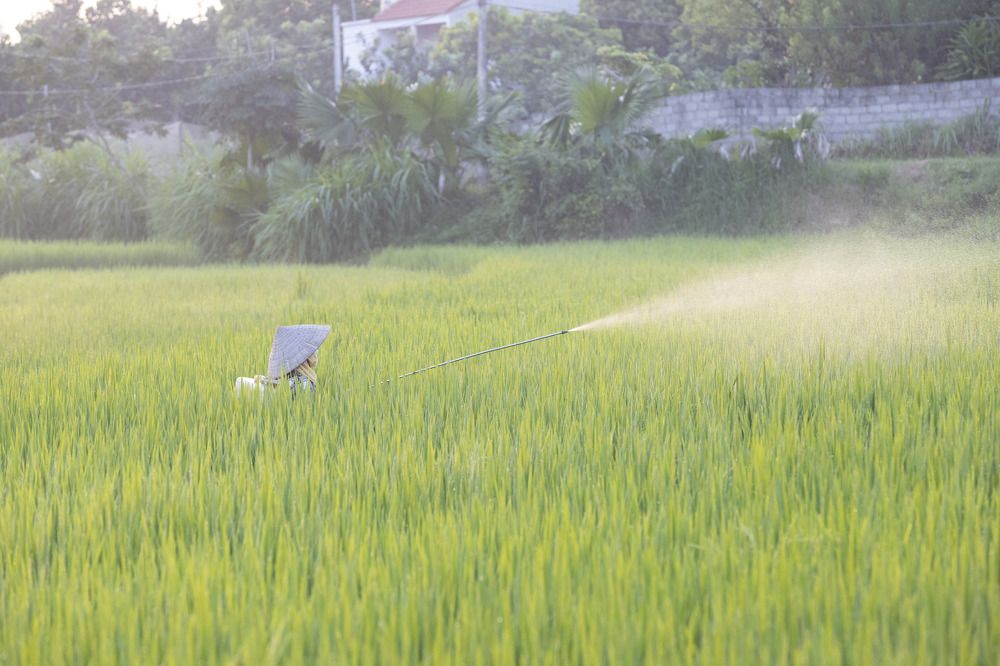 Фотография автора Luong Cung