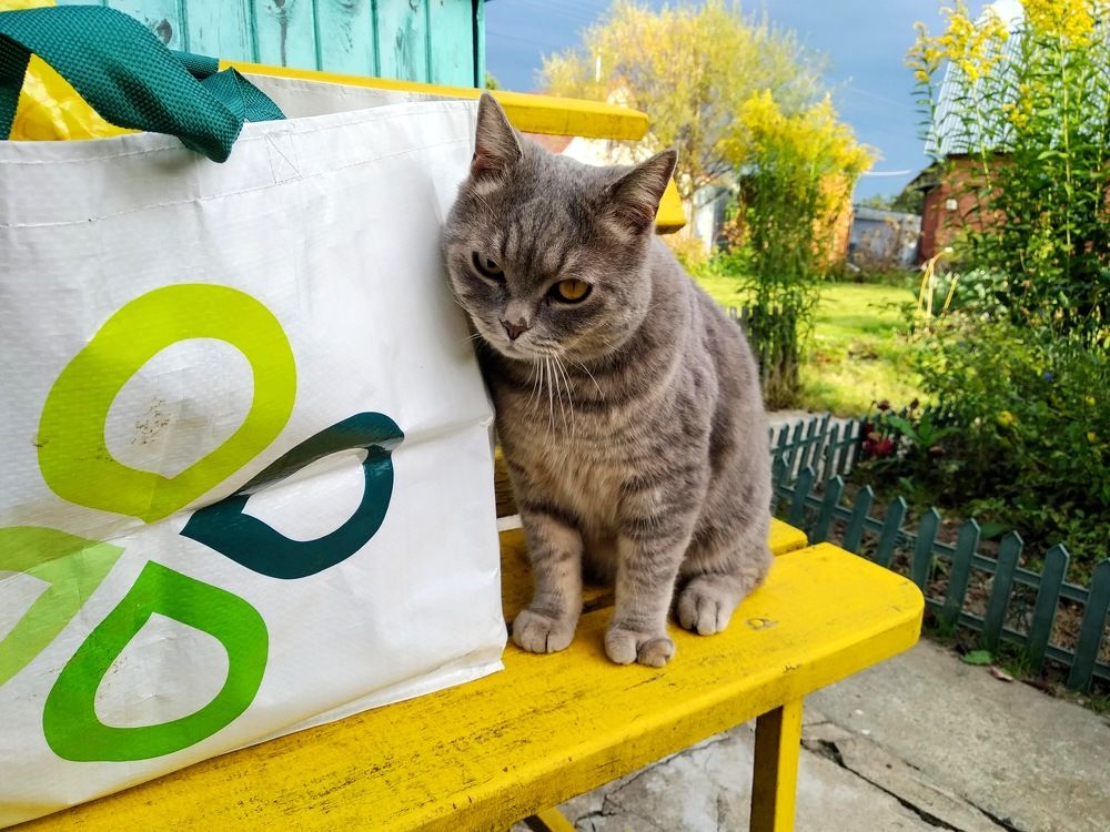 Photograph by Ольга Антохина