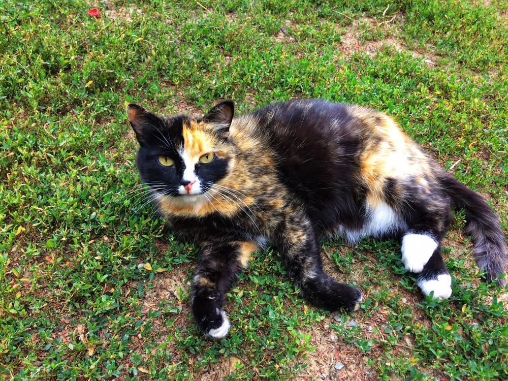 Photograph by Анастасия Игошина