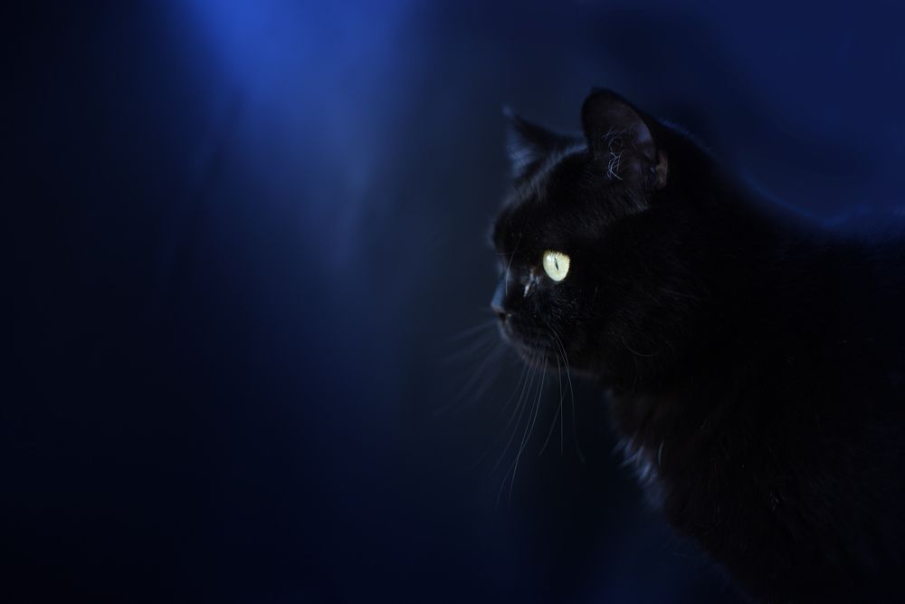 Photograph by Ильин Максим