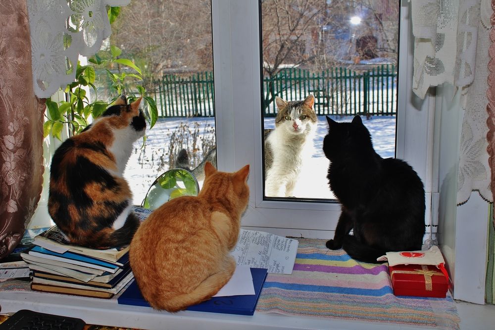 Photograph by Анна Восковых