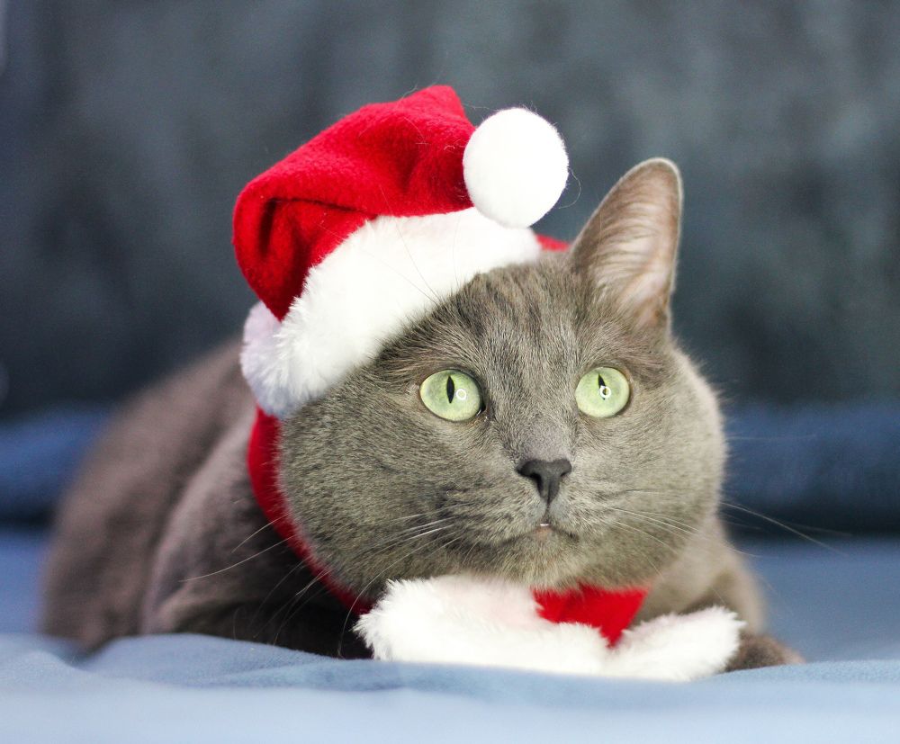 Photograph by Мария Мельникова