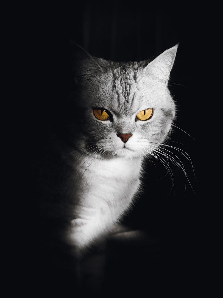Photograph by Дмитрий Головко
